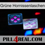 Grüne Hornissenlaschen 37